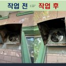 원주삼성어린이집 | 식당 벽부형 환풍기 고압환기팬 교체 문의