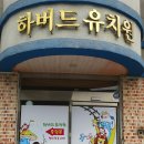 하버드 유치원 이미지