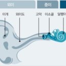 푸른이비인후과 네이버블로그