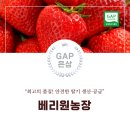 은상농장 네이버블로그