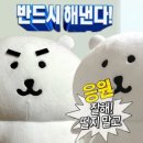 네일케이 네이버블로그
