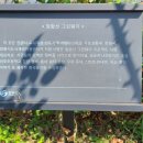 성호 정비센타 이미지