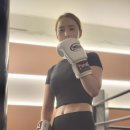 복싱 매니아 이미지