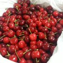 (주)체리블루 이미지