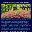 안명섭 Daum카페