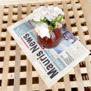 동읍905 | [창원] 우영우 팽나무 촬영지 근처 대산면카페 _ 카페905