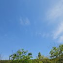 마포대나무집 | [난지캠핑장]D존/D사이트/파쇄석/불멍/화로/그라운드커버 리틀하우스 텐트/미니헥사 타프/헬리녹스 체어...