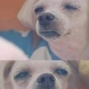 손가정의학과의원 네이버블로그