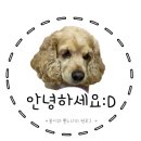 에이치바이옴 | [스킨/로션] 세안 후 첫 단계! 베리아워 "브이에이치바이옴 퍼스트 에센스" 후기