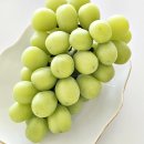 복주농장 이미지