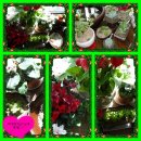 아진목장 이미지