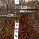 지리산 단풍비 티스토리