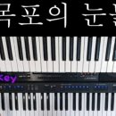 쏠전자올겐