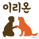 디비에스 주식회사 이미지