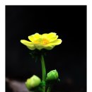 보수초등학교 이미지