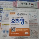 만성 배탈러의 첫 대장내시경 후기