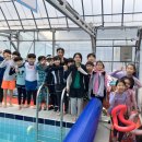 태백태권도장 이미지