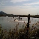 해달별펜션 이미지