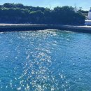 망장포구 이미지