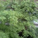 동의대역 6번 출구 이미지