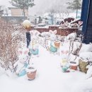 흥정계곡 409 이미지