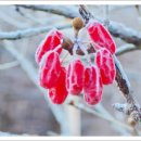 우정식품 이미지