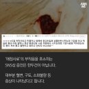 디어펫 이미지