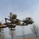 읍천1리 이미지