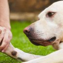 구포동물병원 이미지