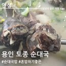 꽃마을주유소 | 남안성IC 주변 맛집 혼밥 하기 좋은 용인토종순대국