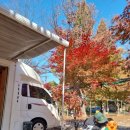 전원일기마을 오토 캠핑장 | [캠핑후기] 서울 근교에서 맛보는 단풍캠 후기, 전원일기 마을캠핑장 후기