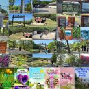 고양특례시 서오릉을 다녀와서 이미지