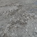 포포농장 이미지