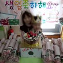 루아어린이집 이미지