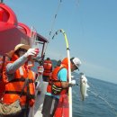 청포대민박 이미지