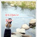 의령여자고등학교 이미지