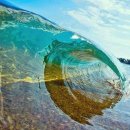 지상낙원 이미지