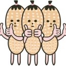 시고르까사 이미지