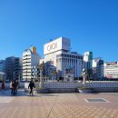 신곡코코약국 | 첫 일본여행 후기 최종