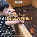 나디브 대전 서구 변동점 | 대전 아기랑 가볼만한곳｜한밭수목원 대전곤충생태관 후기 (곤충원·식물원 산책)