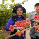 김광연 농장 이미지