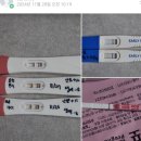 네 번째 임신일지) 8주 계류유산 소파술 후일담, 재임신 4주차 증상 기록, 울산 산부인과 병원 비교