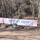 속초스테이 | [속초] 설악산 신흥사 템플스테이 후기