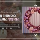 이실리스 이미지