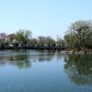 영산 연지못 이미지