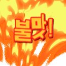 신고집찜 칼국수 이미지