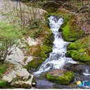 태백종합관광안내소 이미지