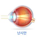 내눈에딱안경원 이미지