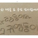 루시캔디 이미지