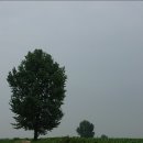 초원목장B 이미지